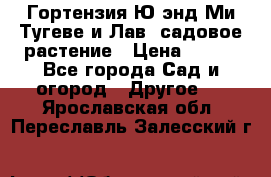 Гортензия Ю энд Ми Тугеве и Лав, садовое растение › Цена ­ 550 - Все города Сад и огород » Другое   . Ярославская обл.,Переславль-Залесский г.